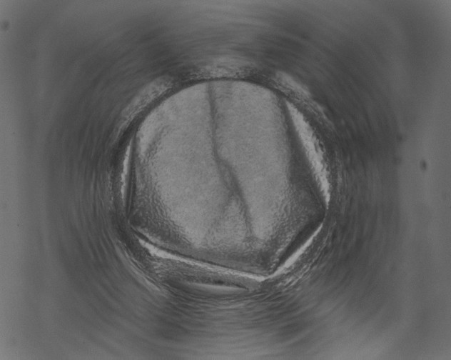 X0000067900250200605041625