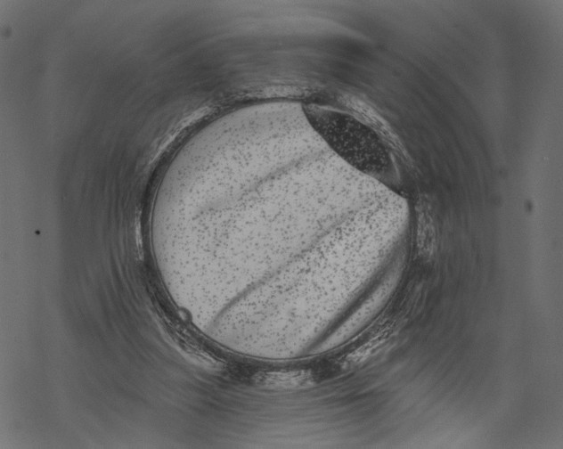 X0000067900251200605041625