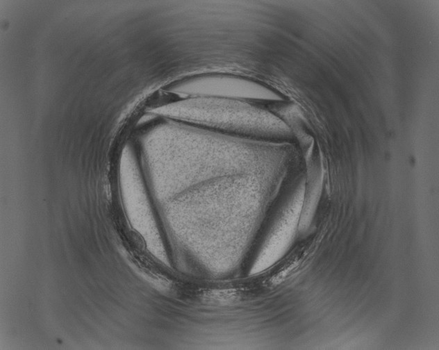 X0000067900252200605041625