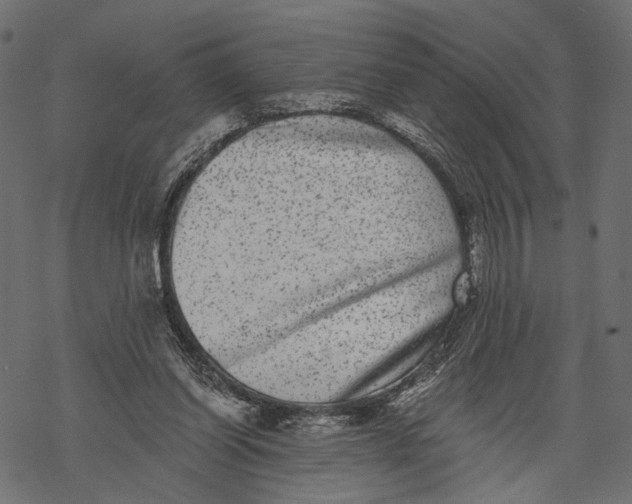 X0000067900254200605041625