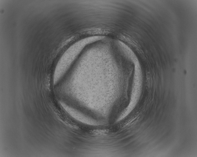 X0000067900255200605041625