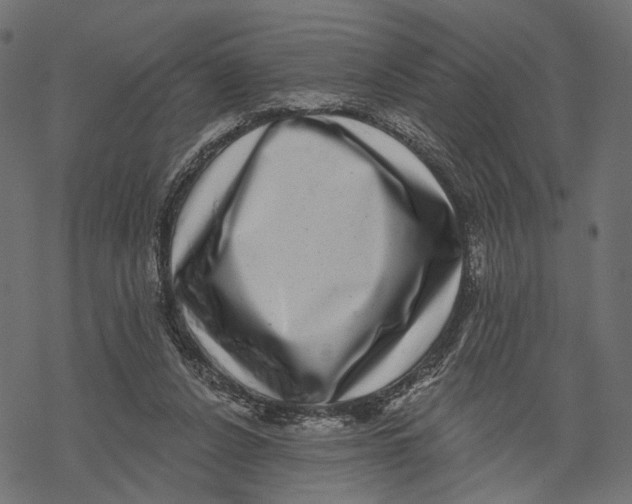 X0000067900256200605041625