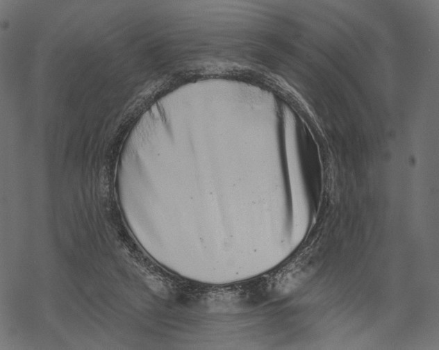 X0000067900257200605041625