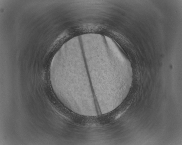 X0000067900258200605041625