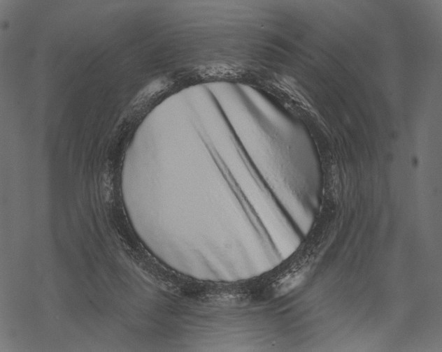 X0000067900259200605041625