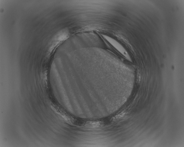 X0000067900260200605041625