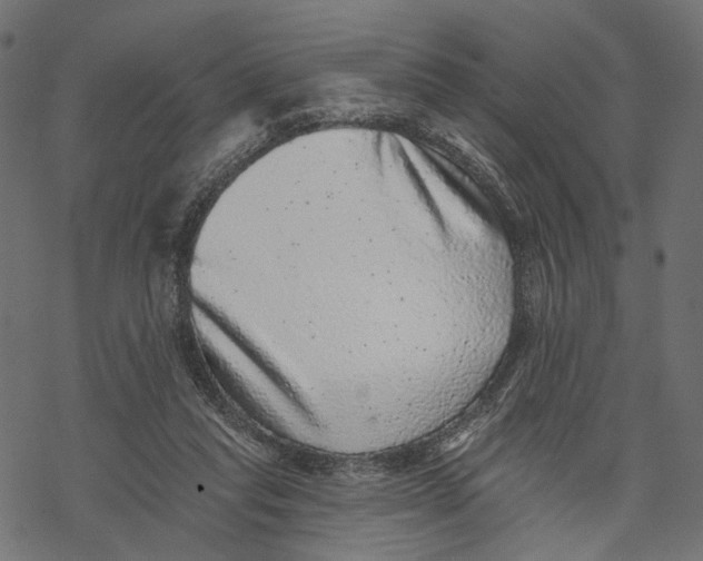 X0000067900261200605041625