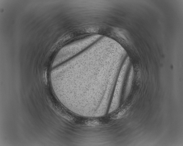 X0000067900262200605041625