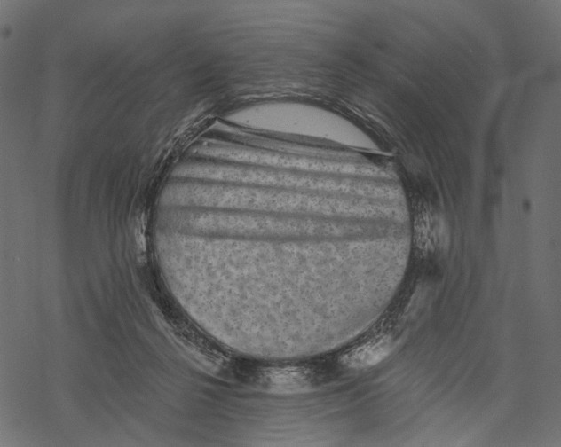 X0000067900264200605041625