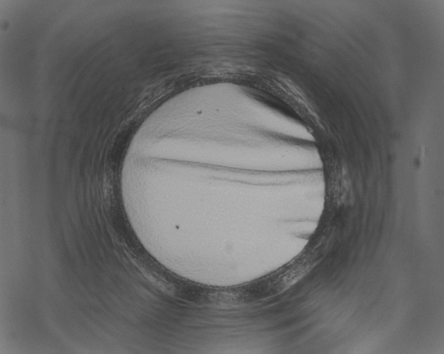 X0000067900265200605041625