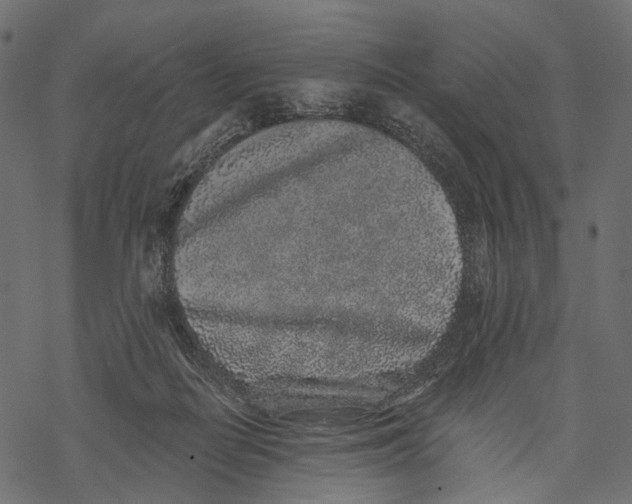 X0000067900266200605041625