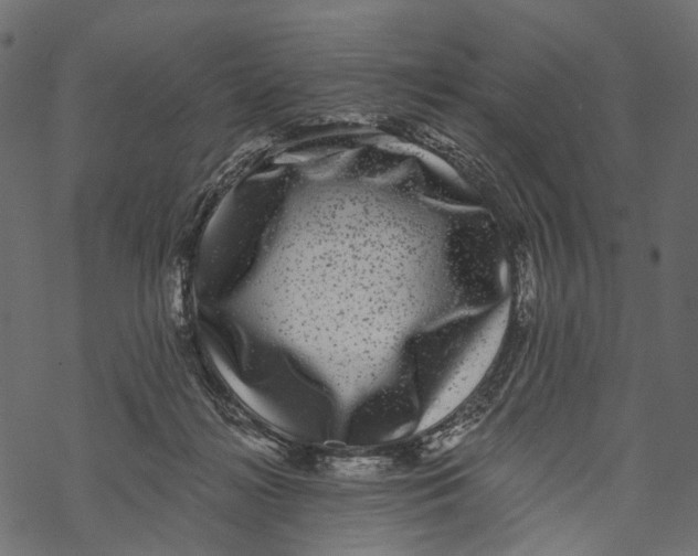 X0000067900268200605041625