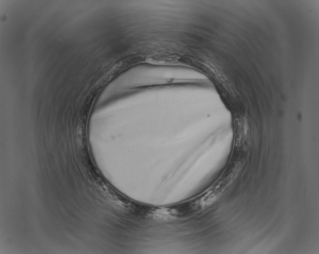 X0000067900269200605041625