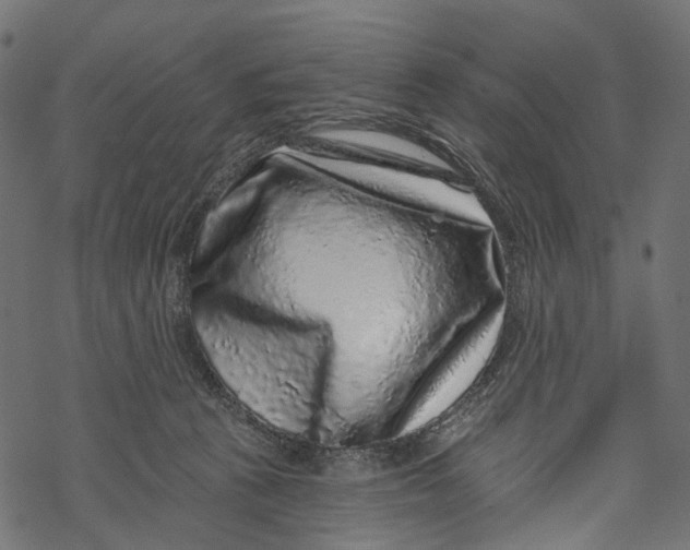 X0000067900273200605041625