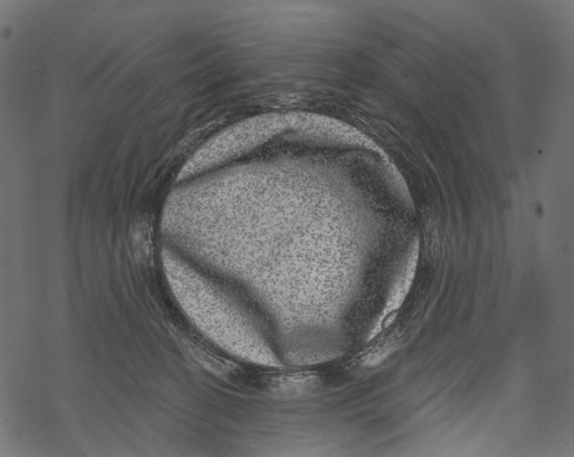 X0000067900274200605041625