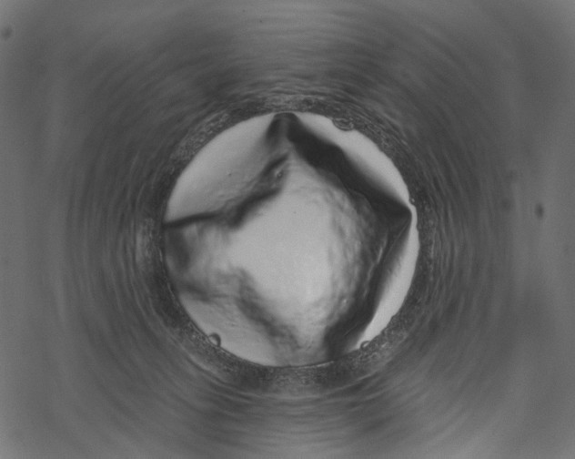 X0000067900275200605041625