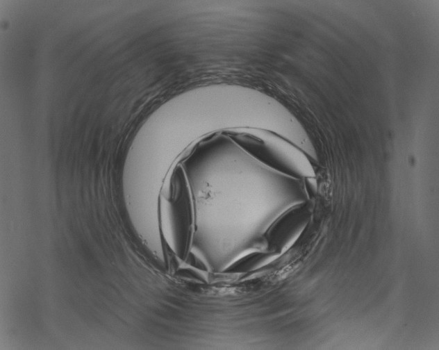 X0000067900276200605041625