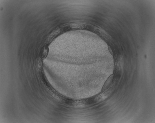 X0000067900277200605041625