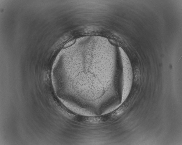 X0000067900278200605041625