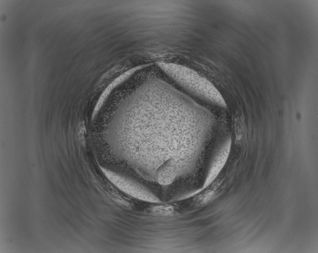 X0000067900279200605041625