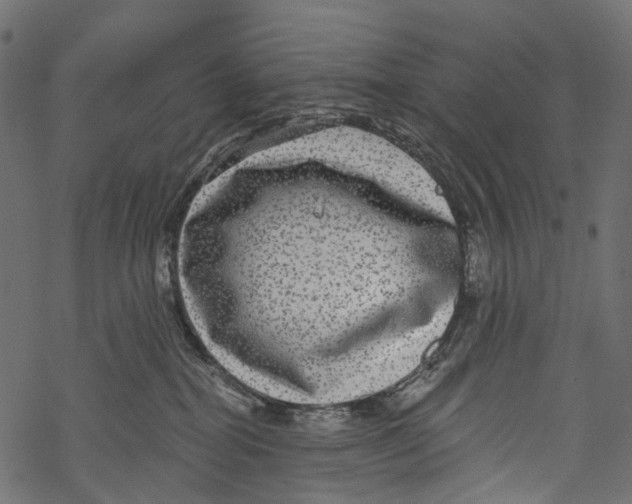 X0000067900282200605041625