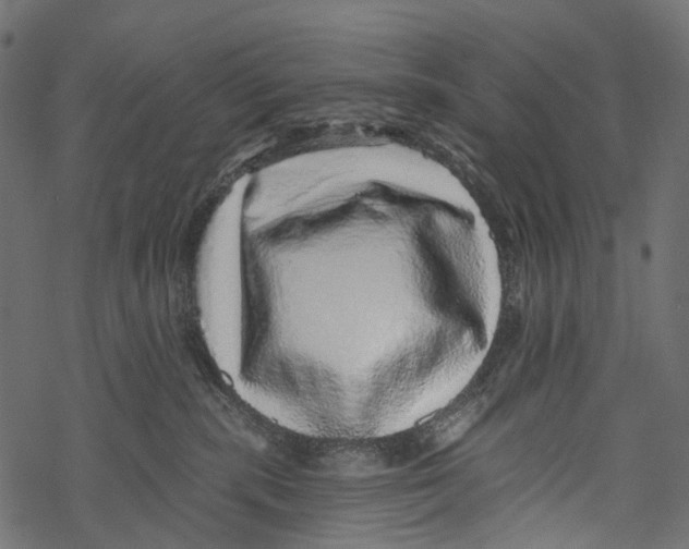 X0000067900283200605041625