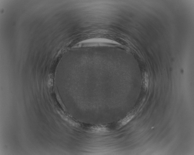 X0000067900284200605041626