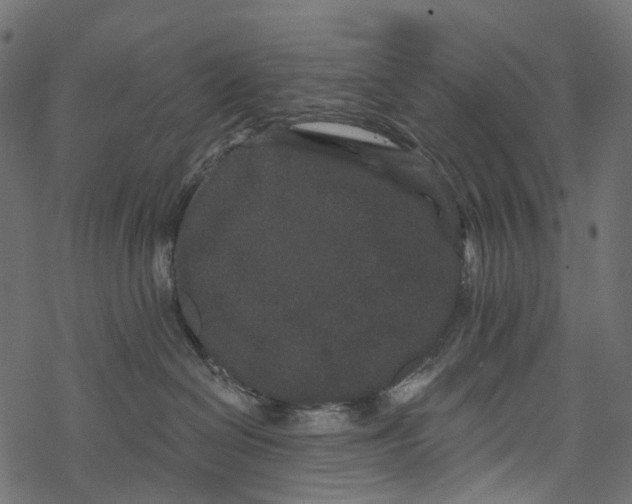 X0000067900286200605041626