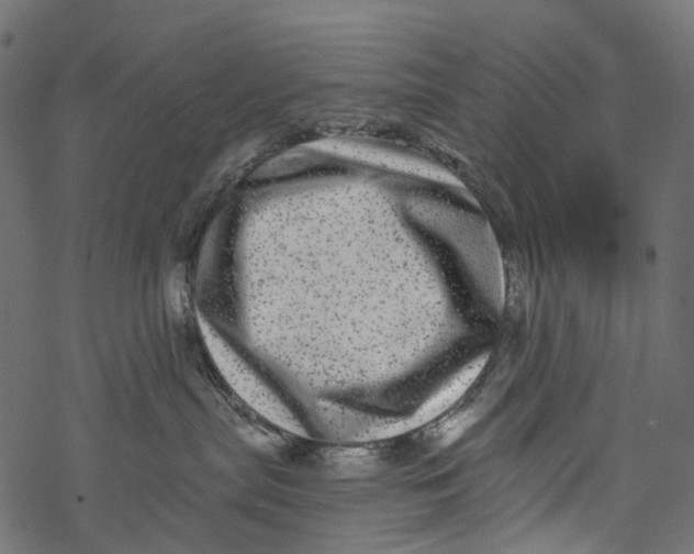 X0000067900287200605041626