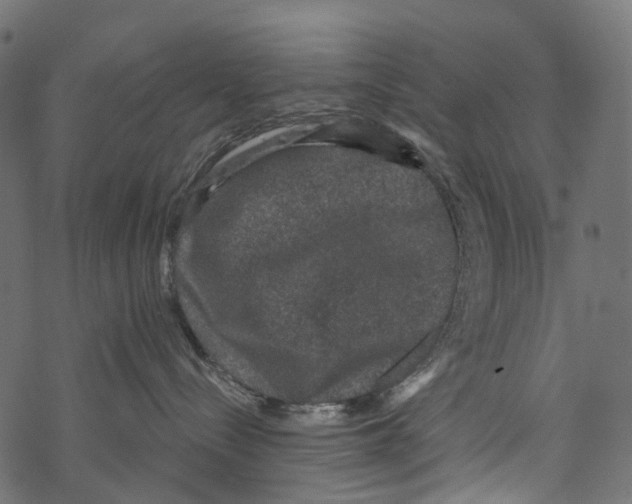 X0000067900288200605041626