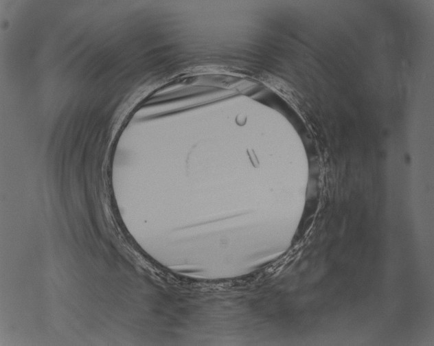 X0000067900289200605041625