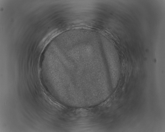 X0000067900290200605041625