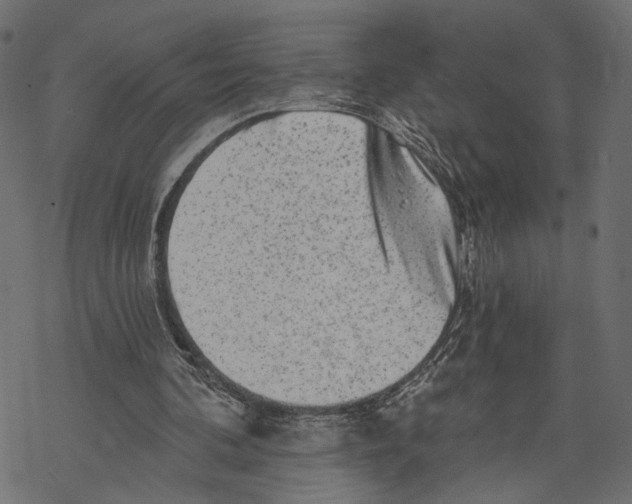 X0000067900292200605041625