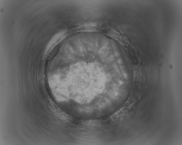 X0000067900293200605041625