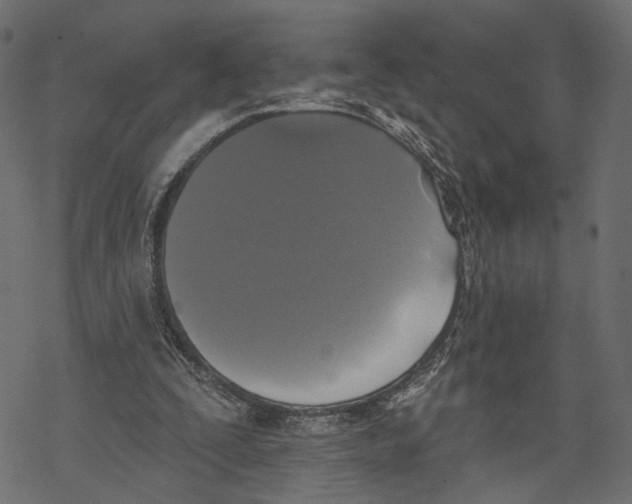 X0000067900295200605041625