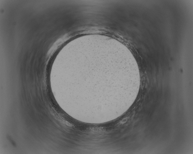 X0000067900296200605041625