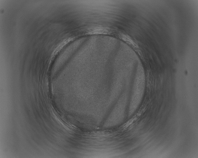 X0000067900298200605041625