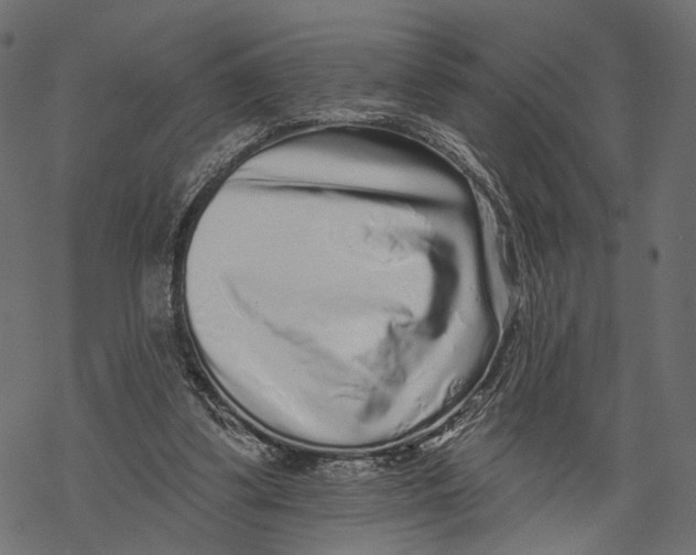 X0000067900299200605041625