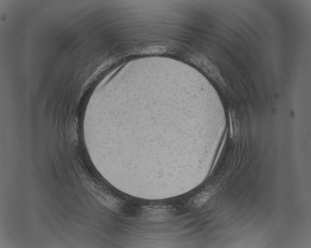 X0000067900300200605041625