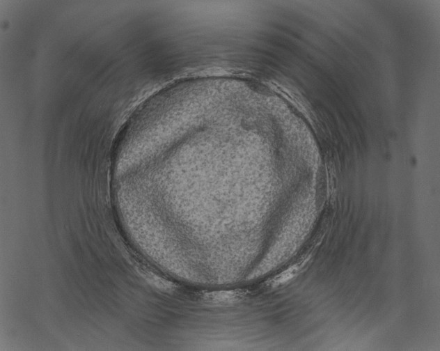 X0000067900301200605041625