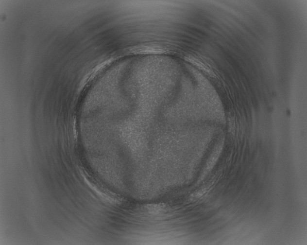 X0000067900302200605041625