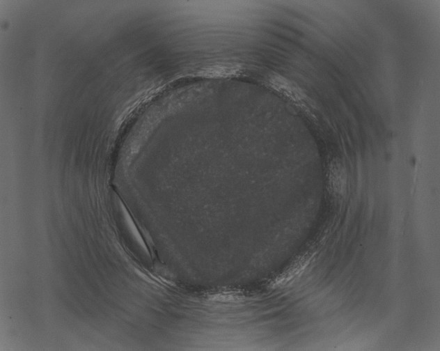 X0000067900303200605041625