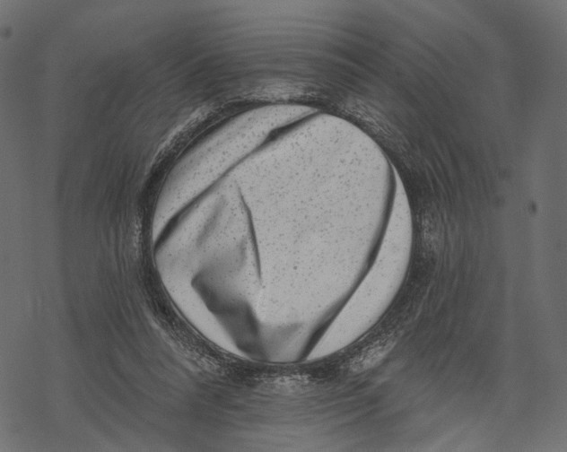 X0000067900304200605041625