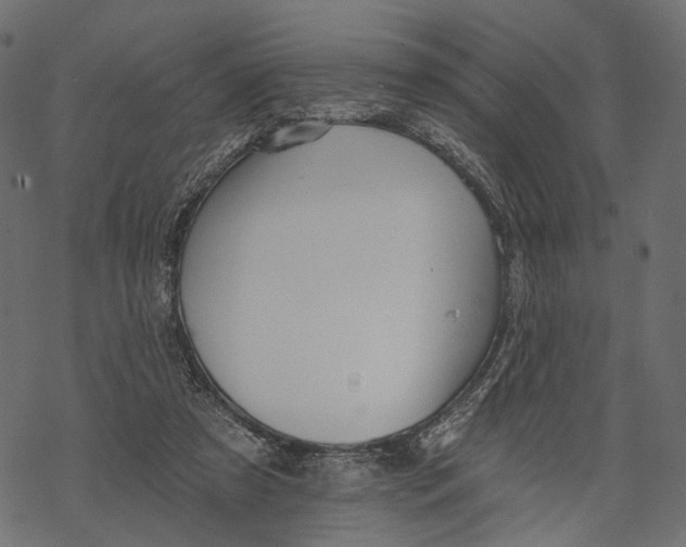 X0000067900305200605041625