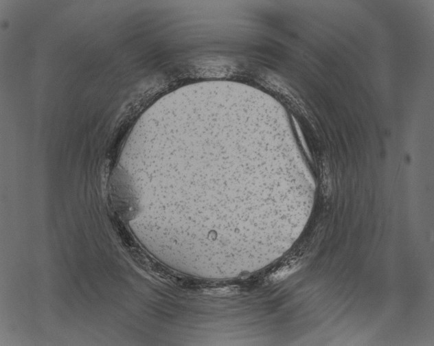 X0000067900307200605041625