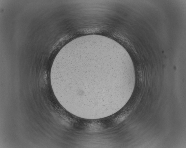 X0000067900308200605041624