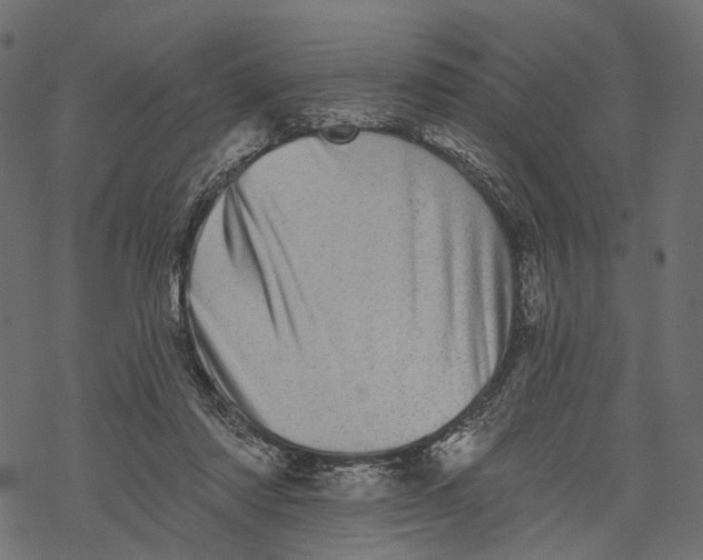 X0000067900310200605041624