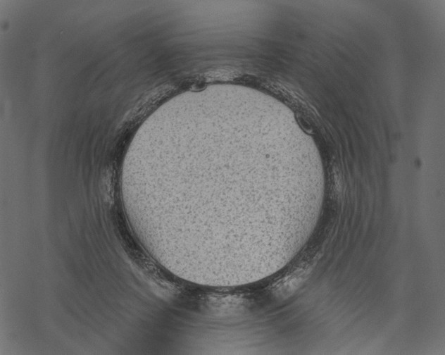 X0000067900311200605041624