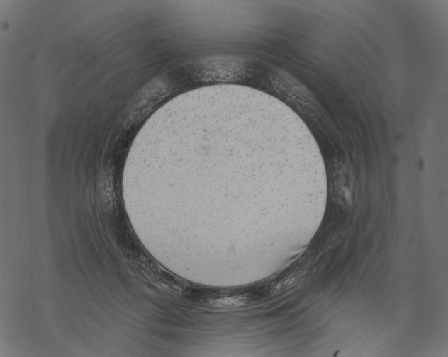 X0000067900312200605041624