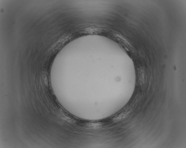 X0000067900313200605041624